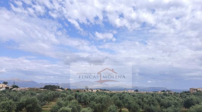 Valencia - la Pobla Llarga - 25349m2
