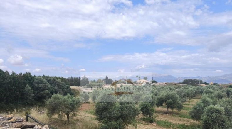 Valencia - la Pobla Llarga - 25349m2