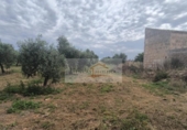 Parcela urbanizable en venta en la España, Sa Pobla, ref: TR313029 foto