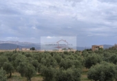 Parcela urbanizable en venta en la España, Sa Pobla, ref: TR313029 foto