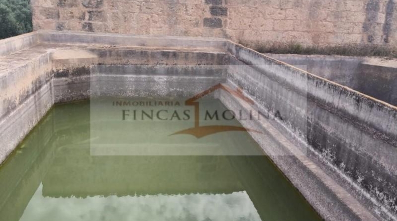Valencia - la Pobla Llarga - 25349m2