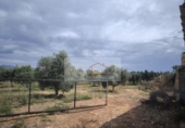 Parcela urbanizable en venta en la España, Sa Pobla, ref: TR313029 foto