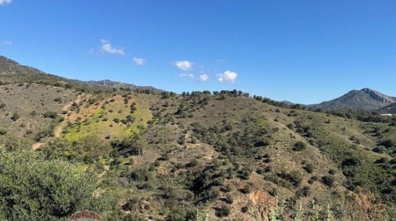 Malaga - Málaga - 609m2