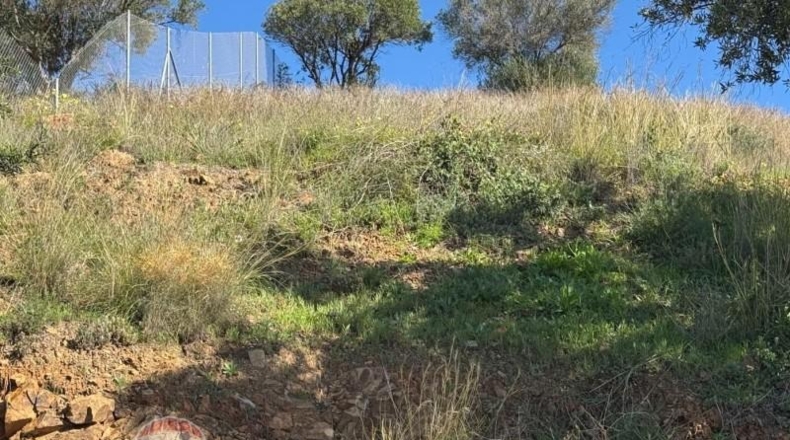 Malaga - Málaga - 609m2