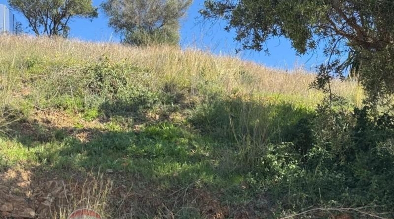 Malaga - Málaga - 609m2