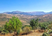 Casa de camp amb terreny en venda a la España, Comares, ref.: TR165053 foto