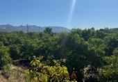 Terreno no urbanizable en venta en la España, Alhaurín de la Torre, ref: TR167404 foto