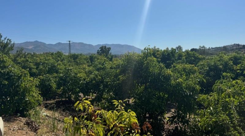 Málaga - Alhaurín de la Torre - 9300m2