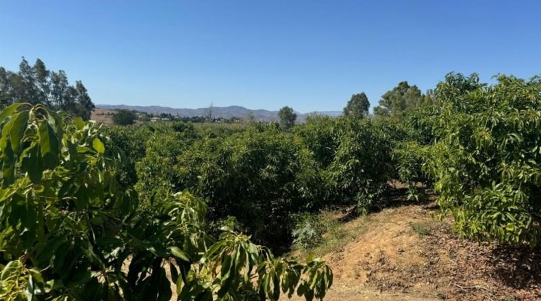 Málaga - Alhaurín de la Torre - 9300m2
