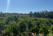 Terreno no urbanizable en venta en la España, Alhaurín de la Torre, ref: TR167404 foto