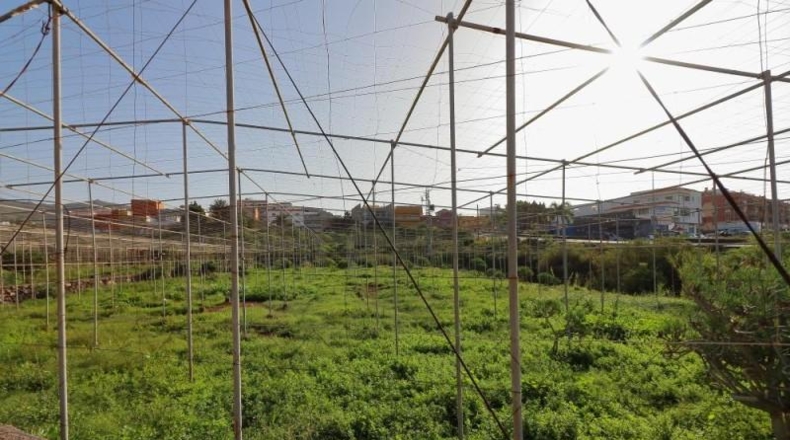 Santa Cruz de Tenerife - Arona - 31000m2