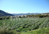 Casa amb terreny en venda a la España, Venta Baja, ref.: TR297468 foto