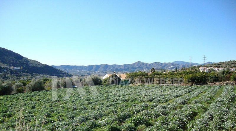 Málaga - Venta Baja - 8000m2