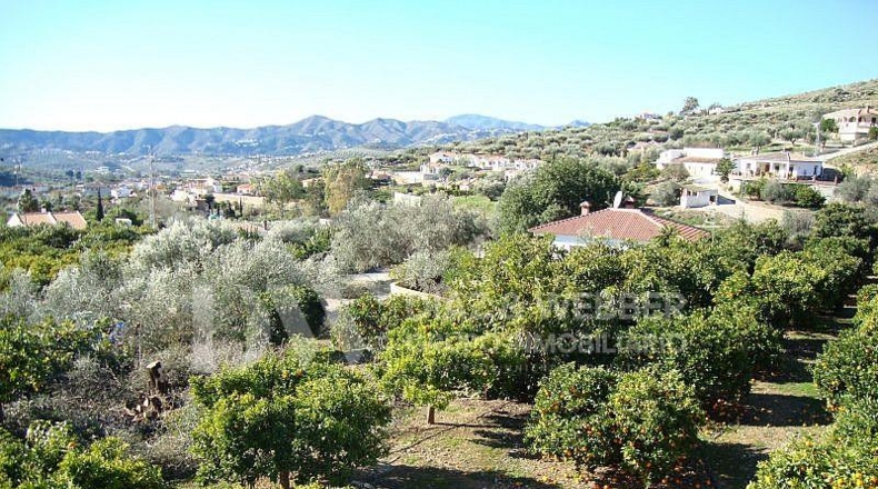 Málaga - Venta Baja - 8000m2