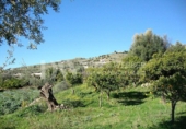 Casa amb terreny en venda a la España, Venta Baja, ref.: TR297468 foto