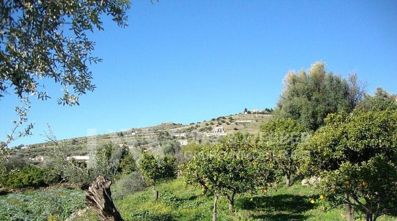 Málaga - Venta Baja - 8000m2