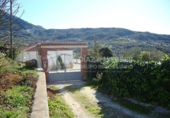 Casa amb terreny en venda a la España, Venta Baja, ref.: TR297468 foto