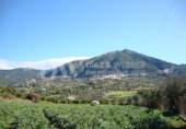 Casa amb terreny en venda a la España, Venta Baja, ref.: TR297468 foto