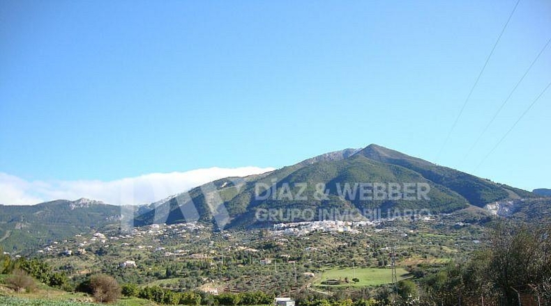 Málaga - Venta Baja - 8000m2