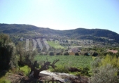 Casa amb terreny en venda a la España, Venta Baja, ref.: TR297468 foto
