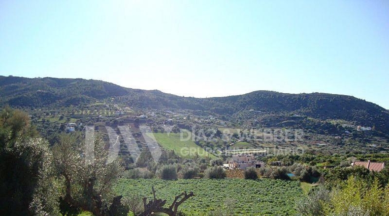 Málaga - Venta Baja - 8000m2