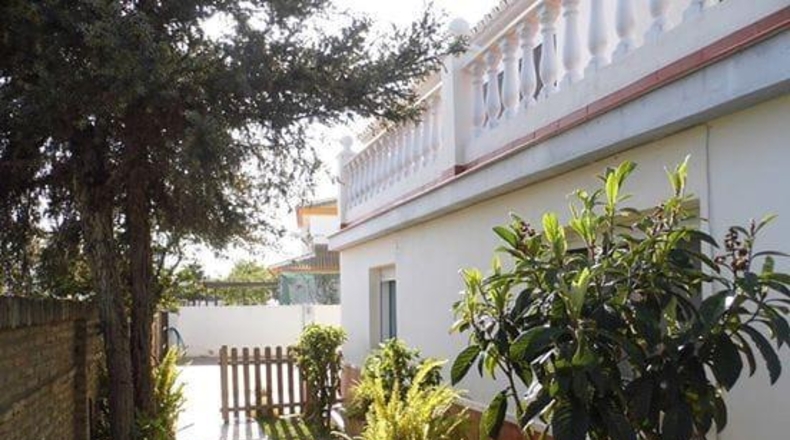 Huelva - Almonte - 780m2