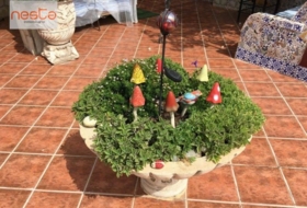 Foto 6