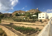 Загородный дом с участком на продажу в городе Níjar Фото