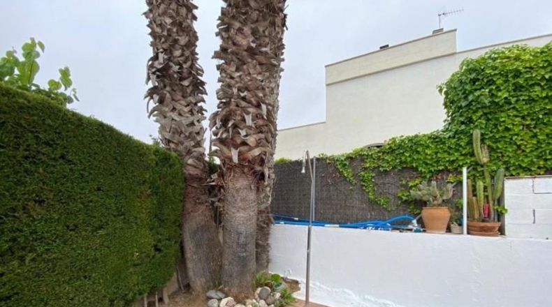 Tarragona - Calafell - 722m2