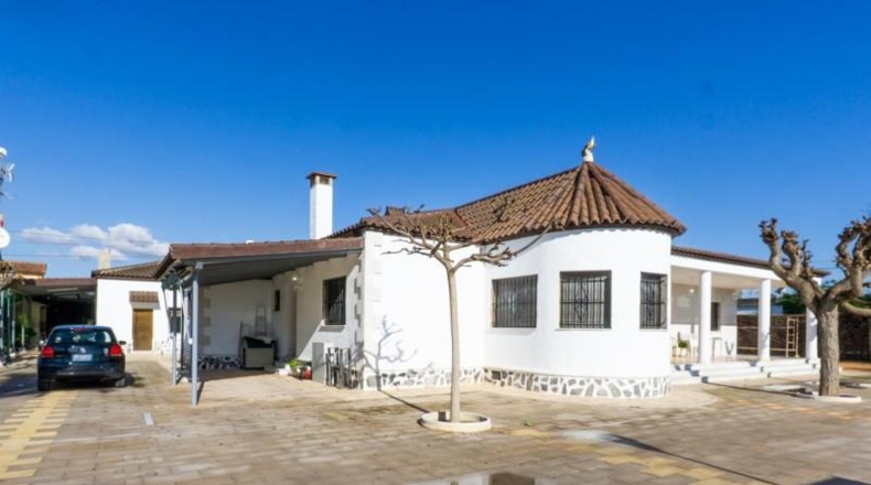 Alicante - Crevillente - 5975m2