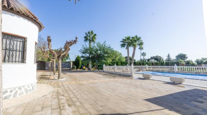 Alicante - Crevillente - 5975m2