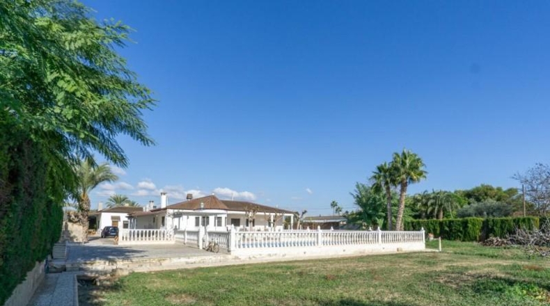 Alicante - Crevillente - 5975m2