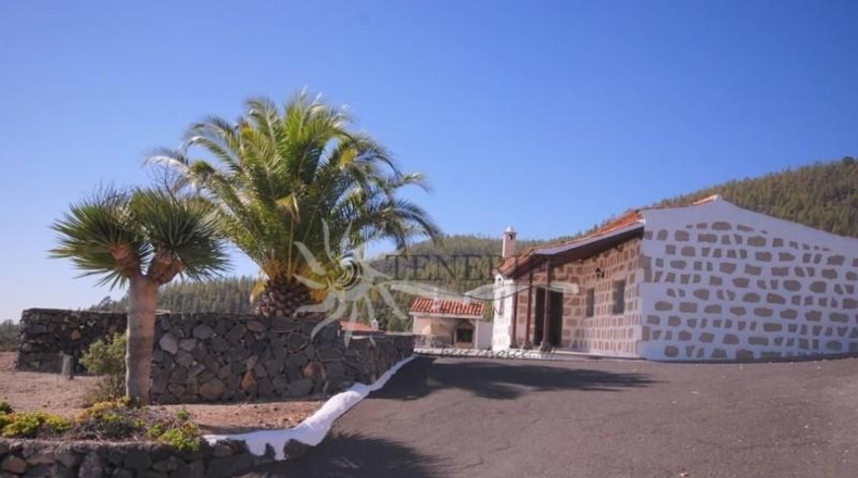 Santa Cruz de Tenerife - Granadilla de Abona - 3921m2