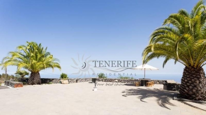 Santa Cruz de Tenerife - Granadilla de Abona - 3921m2