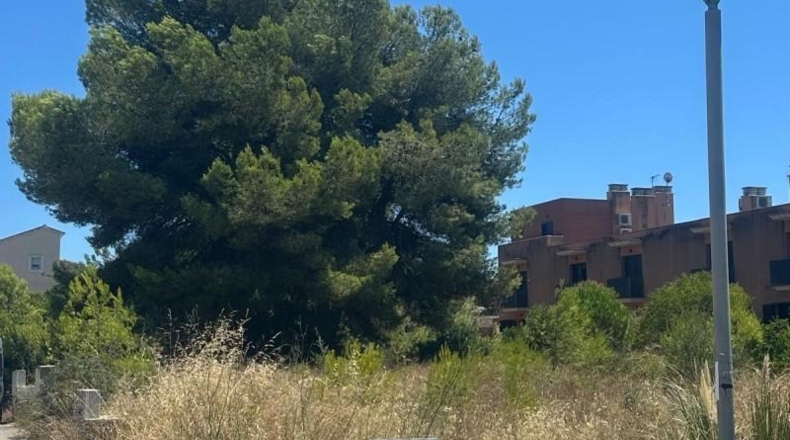 Tarragona - el Vendrell - 1019m2