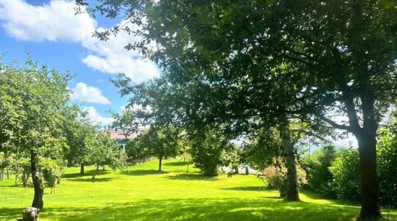 Asturias - Langreo - 3000m2