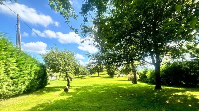 Asturias - Langreo - 3000m2