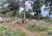 Terreny no urbanitzable en venda a la España, Múrcia, ref.: TR117013 foto