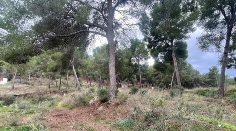 Múrcia - Murcia - 14000m2