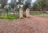Terreny no urbanitzable en venda a la España, Múrcia, ref.: TR117013 foto
