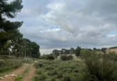 Terreny no urbanitzable en venda a la España, Múrcia, ref.: TR117013 foto