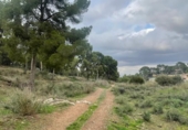 Terreny no urbanitzable en venda a la España, Múrcia, ref.: TR117013 foto