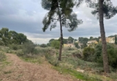 Terreny no urbanitzable en venda a la España, Múrcia, ref.: TR117013 foto