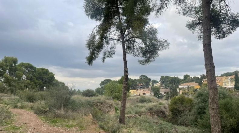 Múrcia - Murcia - 14000m2