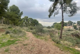 Foto 8