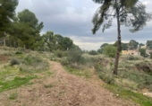Terreny no urbanitzable en venda a la España, Múrcia, ref.: TR117013 foto