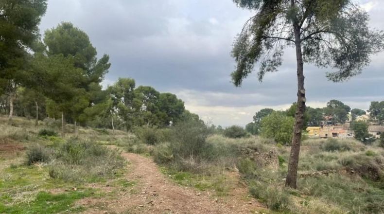 Múrcia - Murcia - 14000m2