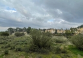 Terreny no urbanitzable en venda a la España, Múrcia, ref.: TR117013 foto