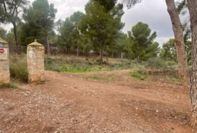 Foto 14