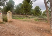 Terreny no urbanitzable en venda a la España, Múrcia, ref.: TR117013 foto